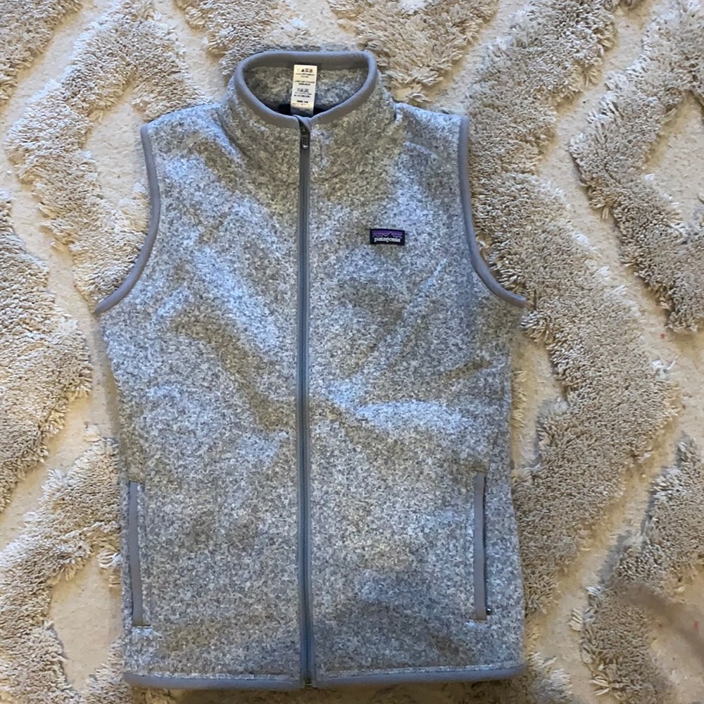 grey Patagonia vest